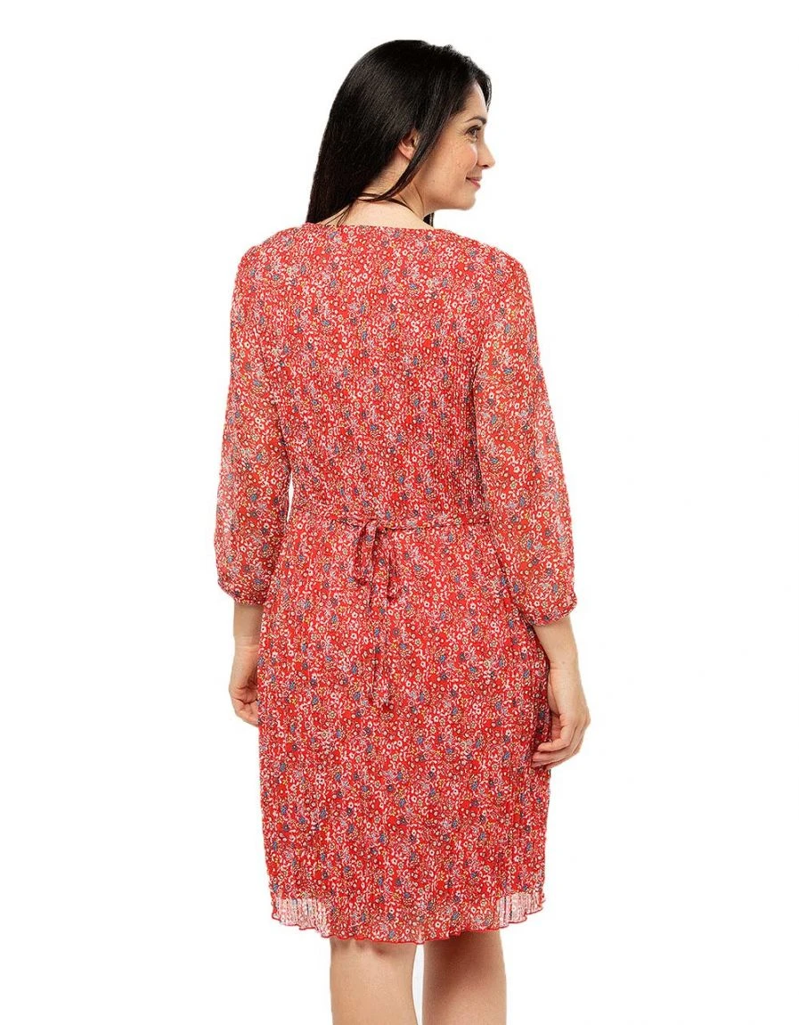 Robe Rouge Fin Plissé 4 Robe Rouge Fin Plissé – Image 2